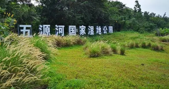 【案例赏析】?？谖逶春庸沂毓?></a></div>
                <div   id=